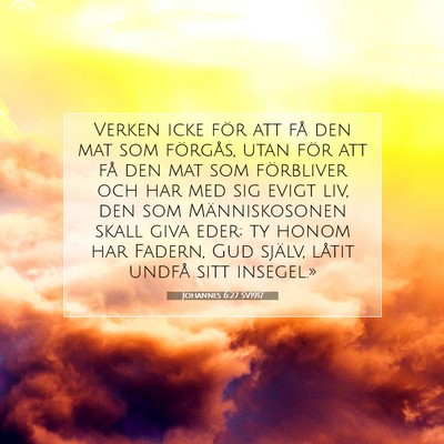 Johannes 6:27 SV1917 Bild av bibelvers