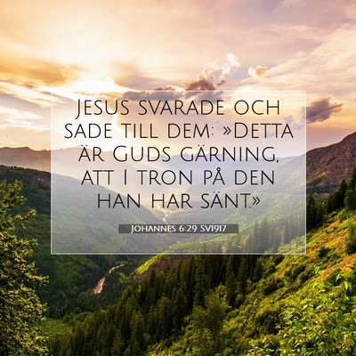 Johannes 6:29 SV1917 Bild av bibelvers