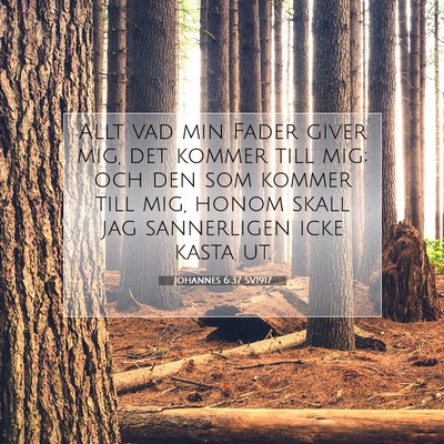 Johannes 6:37 SV1917 Bild av bibelvers