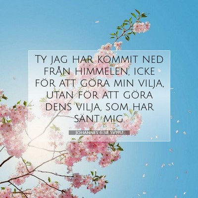 Johannes 6:38 Bibelvers Förklarad