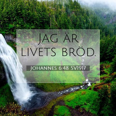 Johannes 6:48 Bibelvers Förklarad