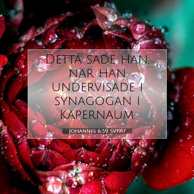 Johannes 6:59 Bibelvers Förklarad