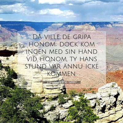 Johannes 7:30 Bibelvers Förklarad