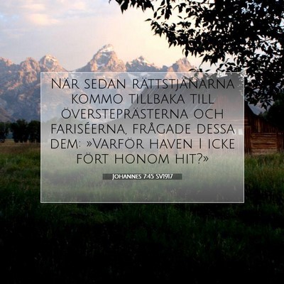 Johannes 7:45 Bibelvers Förklarad