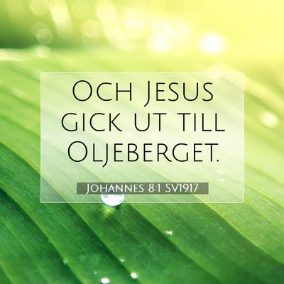 Johannes 8:1 Bibelvers Förklarad