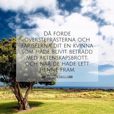 Johannes 8:3 Bibelvers Förklarad