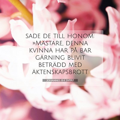 Johannes 8:4 Bibelvers Förklarad
