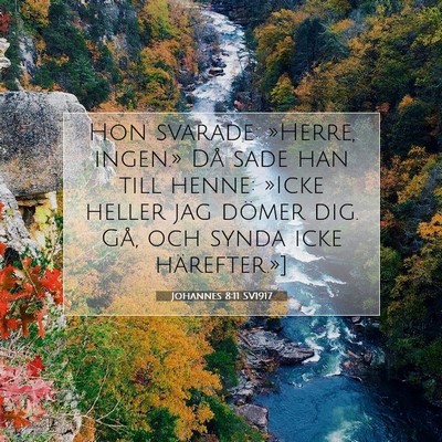 Johannes 8:11 SV1917 Bild av bibelvers