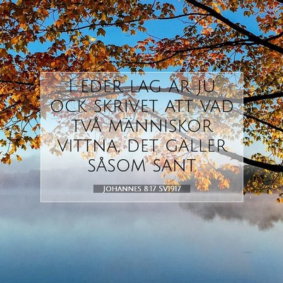 Johannes 8:17 SV1917 Bild av bibelvers
