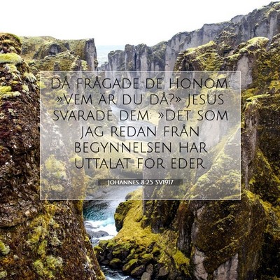 Johannes 8:25 SV1917 Bild av bibelvers