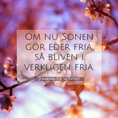 Johannes 8:36 SV1917 Bild av bibelvers