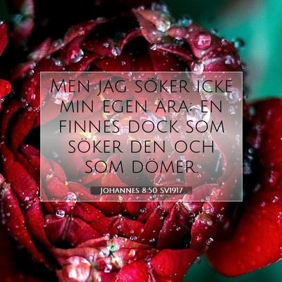 Johannes 8:50 Bibelvers Förklarad