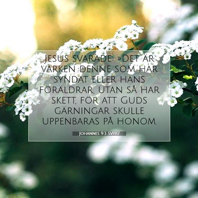 Johannes 9:3 Bibelvers Förklarad