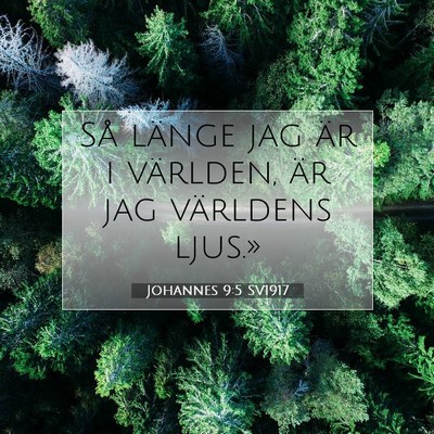 Johannes 9:5 SV1917 Bild av bibelvers