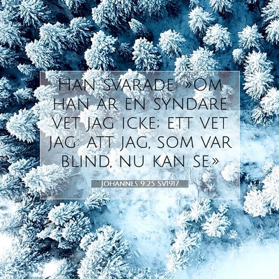 Johannes 9:25 Bibelvers Förklarad