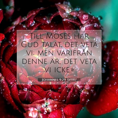 Johannes 9:29 SV1917 Bild av bibelvers