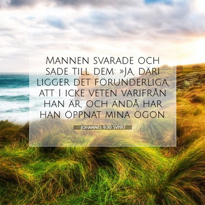 Johannes 9:30 Bibelvers Förklarad