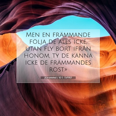 Johannes 10:5 Bibelvers Förklarad