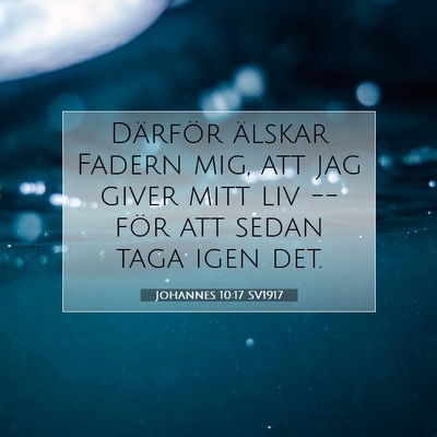 Johannes 10:17 SV1917 Bild av bibelvers
