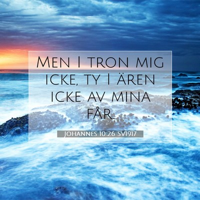 Johannes 10:26 SV1917 Bild av bibelvers