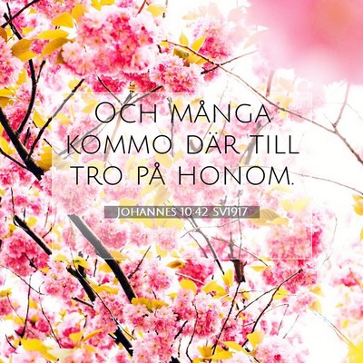 Johannes 10:42 Bibelvers Förklarad