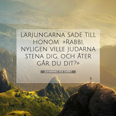 Johannes 11:8 SV1917 Bild av bibelvers