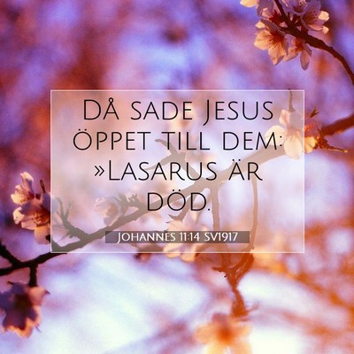 Johannes 11:14 Bibelvers Förklarad