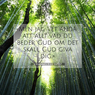 Johannes 11:22 Bibelvers Förklarad