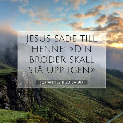 Johannes 11:23 Bibelvers Förklarad