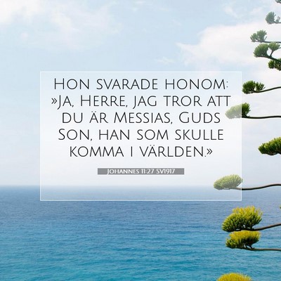 Johannes 11:27 SV1917 Bild av bibelvers