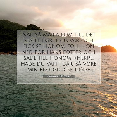 Johannes 11:32 Bibelvers Förklarad