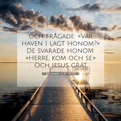 Johannes 11:34 Bibelvers Förklarad