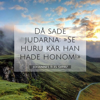 Johannes 11:35 SV1917 Bild av bibelvers
