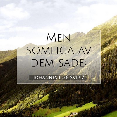 Johannes 11:36 Bibelvers Förklarad