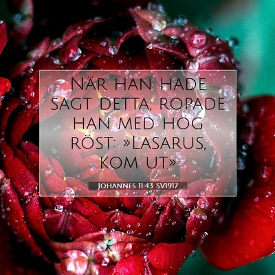 Johannes 11:43 Bibelvers Förklarad