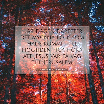 Johannes 12:12 SV1917 Bild av bibelvers