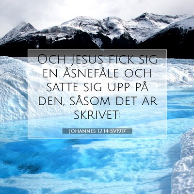 Johannes 12:14 Bibelvers Förklarad