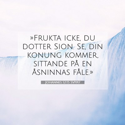 Johannes 12:15 Bibelvers Förklarad