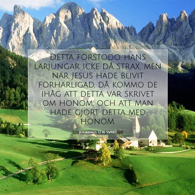 Johannes 12:16 Bibelvers Förklarad