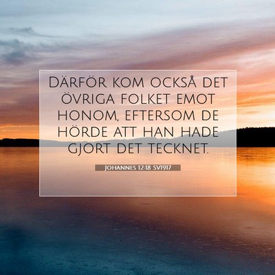 Johannes 12:18 Bibelvers Förklarad