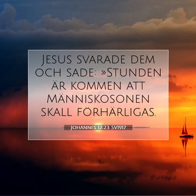 Johannes 12:23 Bibelvers Förklarad