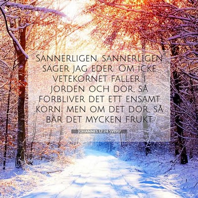 Johannes 12:24 Bibelvers Förklarad