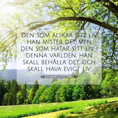 Johannes 12:25 Bibelvers Förklarad