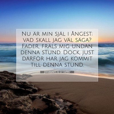 Johannes 12:27 SV1917 Bild av bibelvers