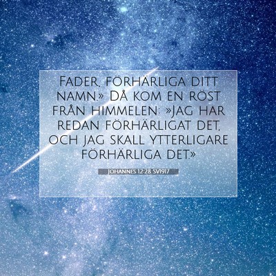 Johannes 12:28 SV1917 Bild av bibelvers