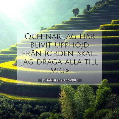 Johannes 12:32 Bibelvers Förklarad