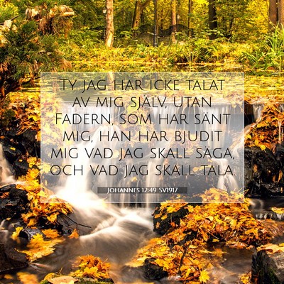 Johannes 12:49 SV1917 Bild av bibelvers