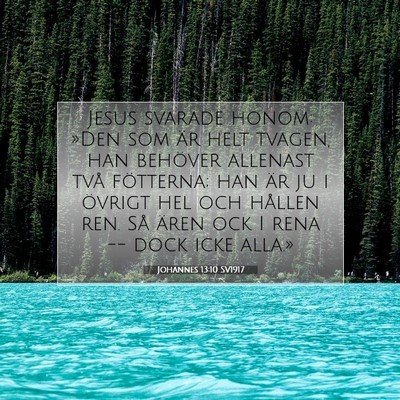 Johannes 13:10 SV1917 Bild av bibelvers