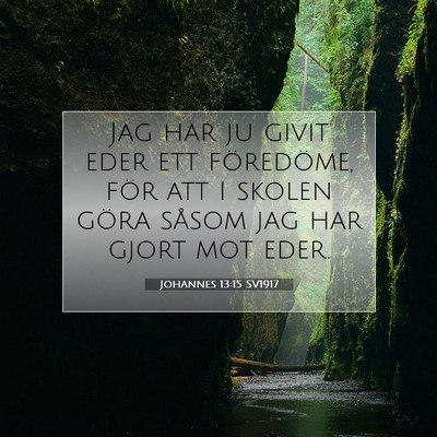 Johannes 13:15 SV1917 Bild av bibelvers