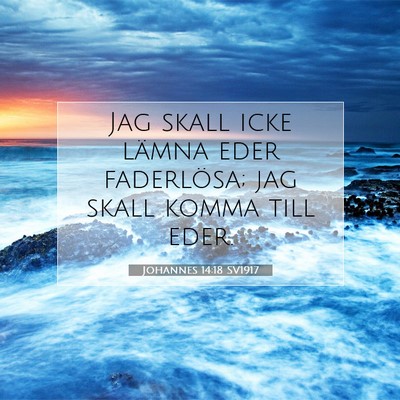 Johannes 14:18 SV1917 Bild av bibelvers